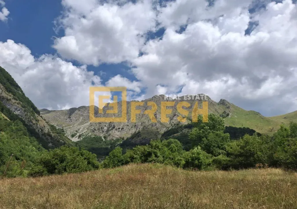 Sale, land lot, 162000m², Kolašin, Crna Gora