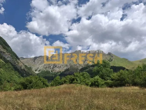 Prodaja, plac, 162000m², Kolašin, Crna Gora - image 1