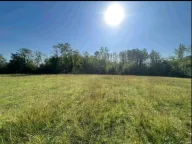 Prodaja, plac, 4999m², Ćurilac, Danilovgrad - image 4