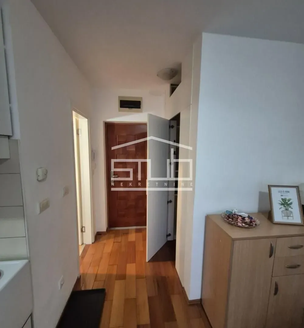 Izdavanje, jednosoban stan, 35m², Miljakovac, Rakovica