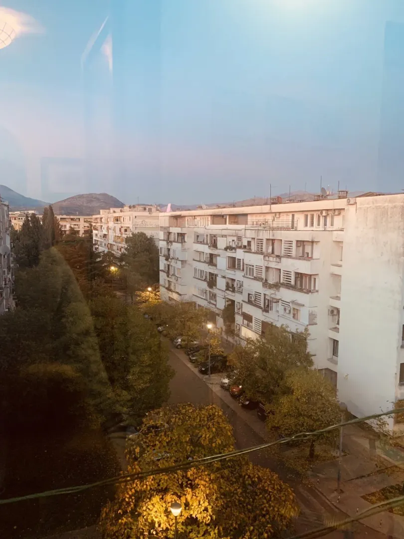 A view from the apartment of surrounding buildings and trees at dusk.