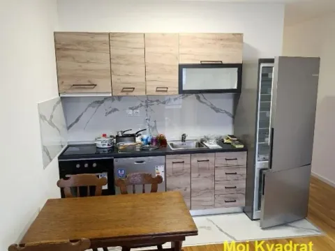 Izdavanje, dvosoban stan, 54m², Dušanovac, Voždovac Sve Podlokacije - image 4