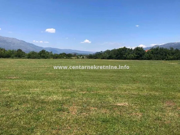 Prodaja, plac, 16200m², Martinići, Danilovgrad