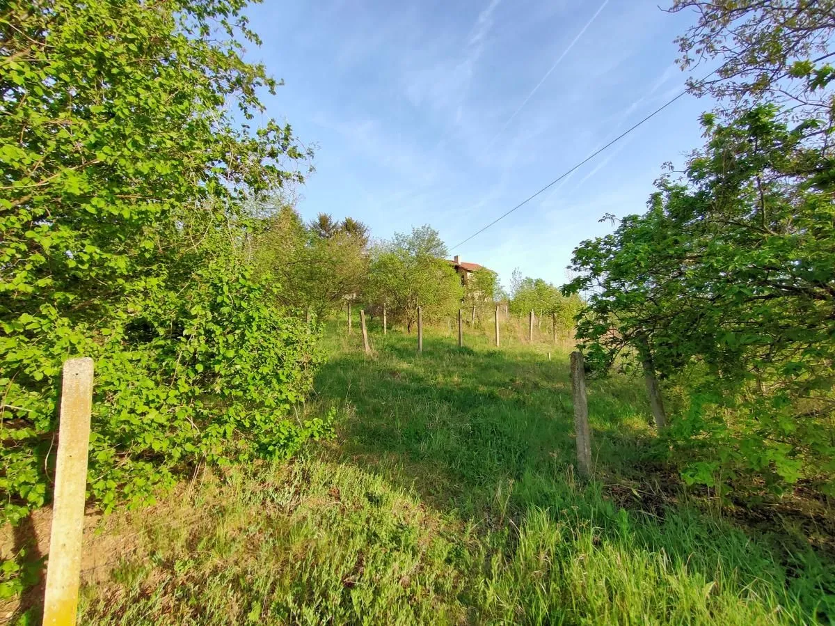Prodaja, plac, 600m², Sremska Kamenica, Petrovaradin