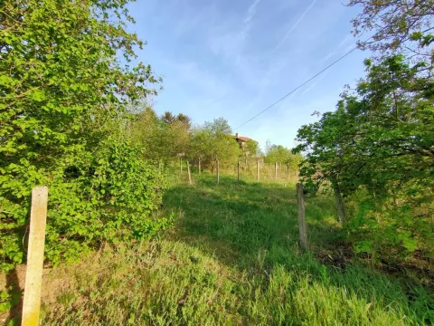 Prodaja, plac, 600m², Sremska Kamenica, Petrovaradin - image 8