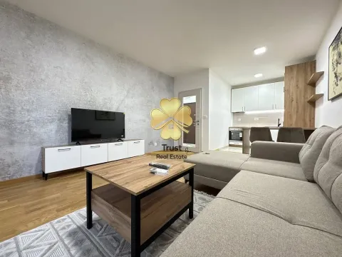 Izdavanje, jednosoban stan, 57m², Golubovci, Podgorica - image 3