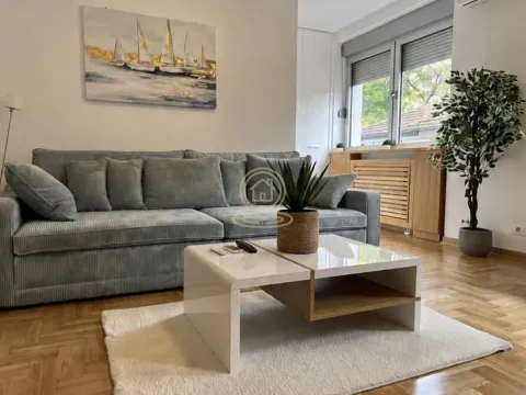 Izdavanje, jednosoban stan, 35m², Stari Grad, Beograd - image 2