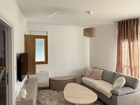 Izdavanje, jednosoban stan, 42m², Tološka šuma, Podgorica - image 3