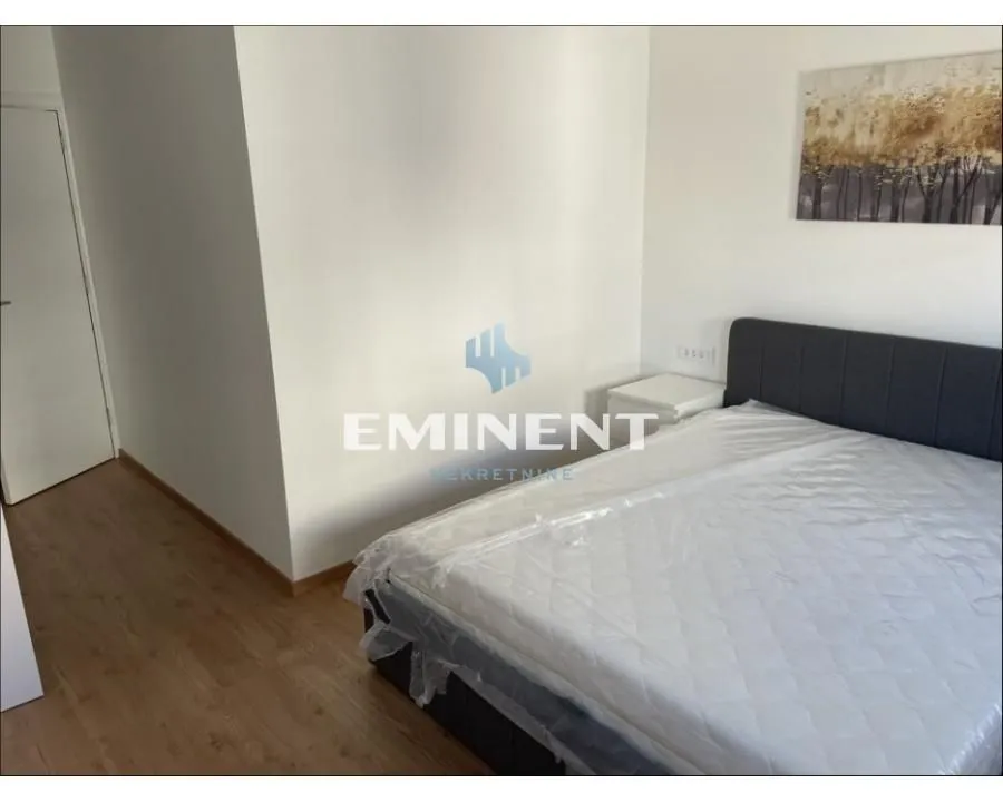 Izdavanje, dvosoban stan, 50m², Arena, Novi Beograd Sve Podlokacije