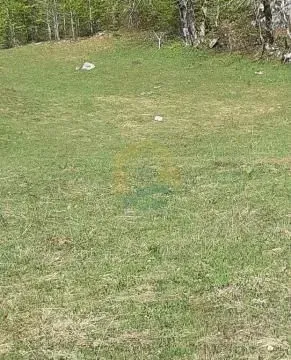 Sale, land lot, 6600m², Kolašin, Crna Gora - image 6