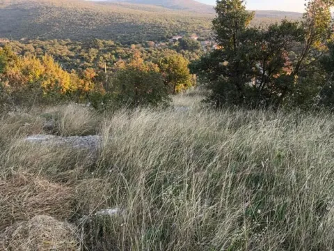 Prodaja, plac, 687m², Podgorica, Crna Gora - image 2