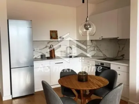 Izdavanje, dvosoban stan, 53m², Vračar Sve Podlokacije, Beograd - image 7