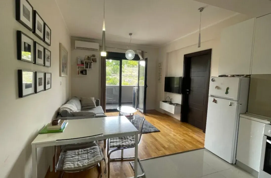 Izdavanje, jednosoban stan, 45m², Vezirov Most, Podgorica