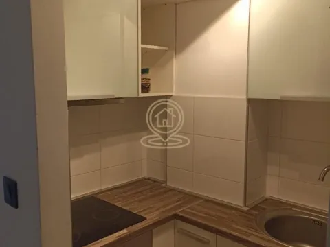 Rent, two bedroom apartment, 37m², Vračar Sve Podlokacije, Beograd - image 3