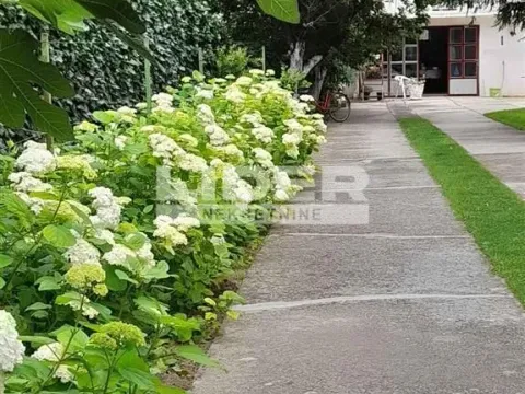 Sale, house, 347m², Baranda, Opovo - image 9