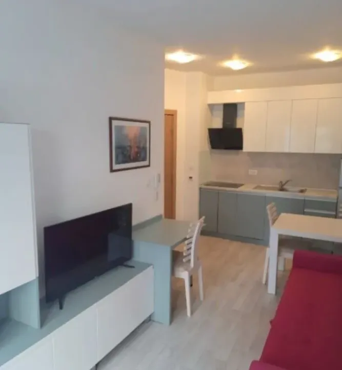 Sale, one bedroom apartment, 59m², Velji Vinogradi, Budva