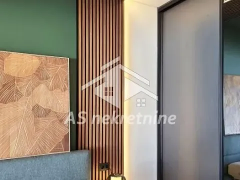 Izdavanje, dvosoban stan, 60m², Čukarica, Beograd - image 11