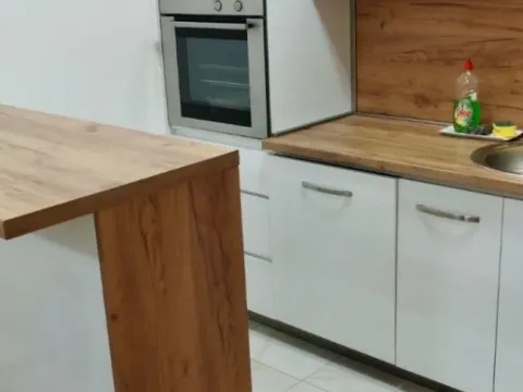 Izdavanje, jednosoban stan, 43m², Stari Aerodrom, Podgorica - image 4