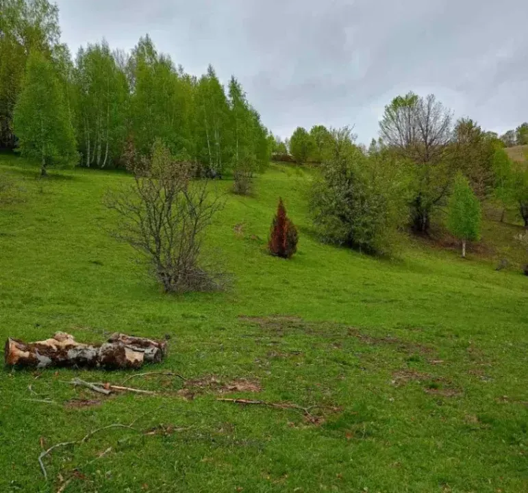 Sale, land lot, 38000m², Izlasci, Kolašin