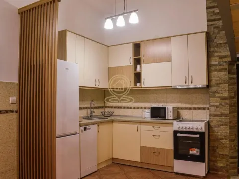 Izdavanje, dvosoban stan, 78m², Južni Bulevar, Vračar Sve Podlokacije - image 18