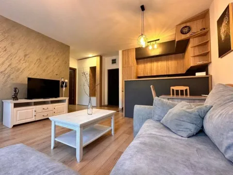 Rent, one bedroom apartment, 48m², Budva okolina, Budva - image 1