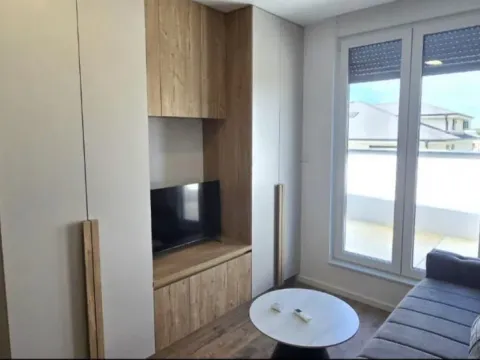 Izdavanje, jednosoban stan, 35m², Veternik, Novi Sad Sve Podlokacije - image 2