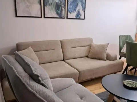 Izdavanje, dvosoban stan, 45m², Pantelej, Niš - image 8