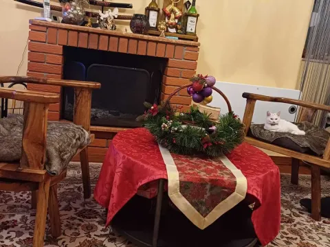 Prodaja, kuća, 240m², Podgorica, Crna Gora - image 7