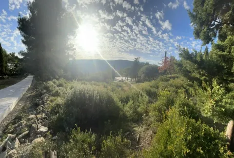 Pogled na zeleno dvorište i okolni pejzaž sa drvećem i sunčanim nebom. - image 2