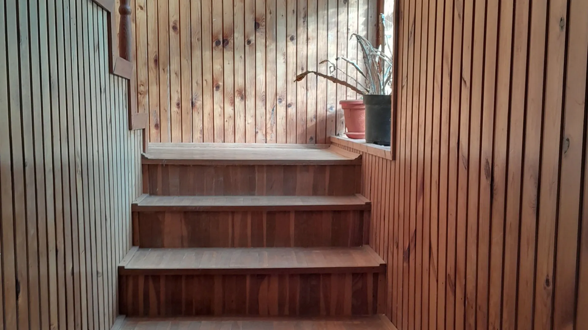 Sale, house, 200m², Bački Petrovac, Novi Sad