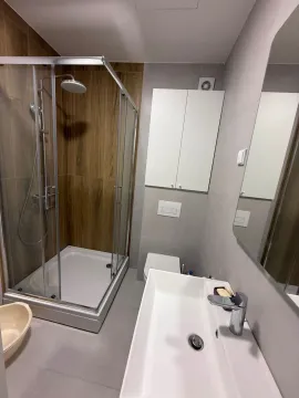 Rent, one bedroom apartment, 44m², Zabjelo, Podgorica - image 6