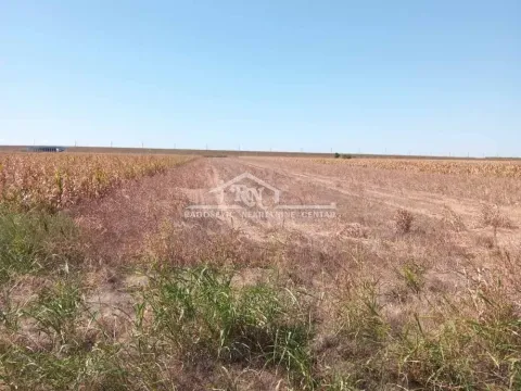 Sale, land lot, Batajnica, Beograd