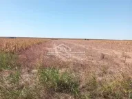 Prodaja, plac, Batajnica, Beograd - image 1