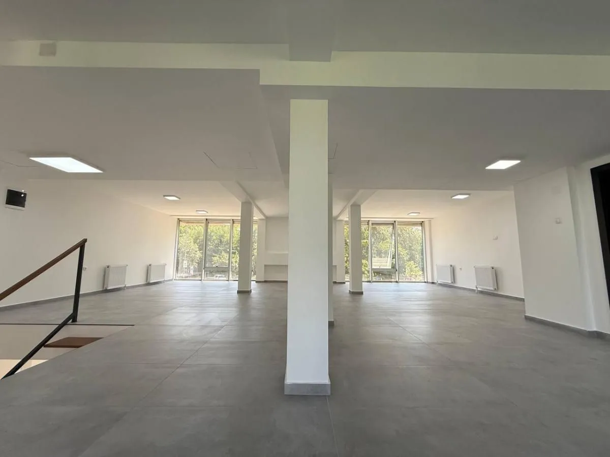 Rent, office space, 349m², Bulevar patrijarha Pavla, Novi Sad Sve Podlokacije