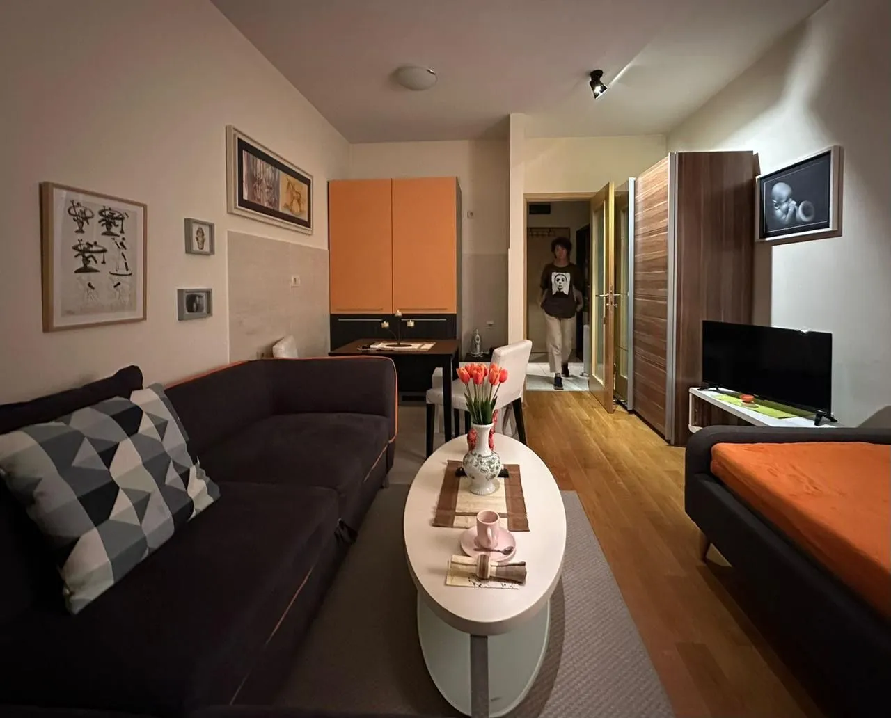 Rent, studio apartment, 29m², Blok 6, Podgorica