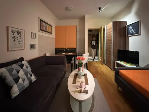 Rent, studio apartment, 29m², Blok 6, Podgorica - image 2