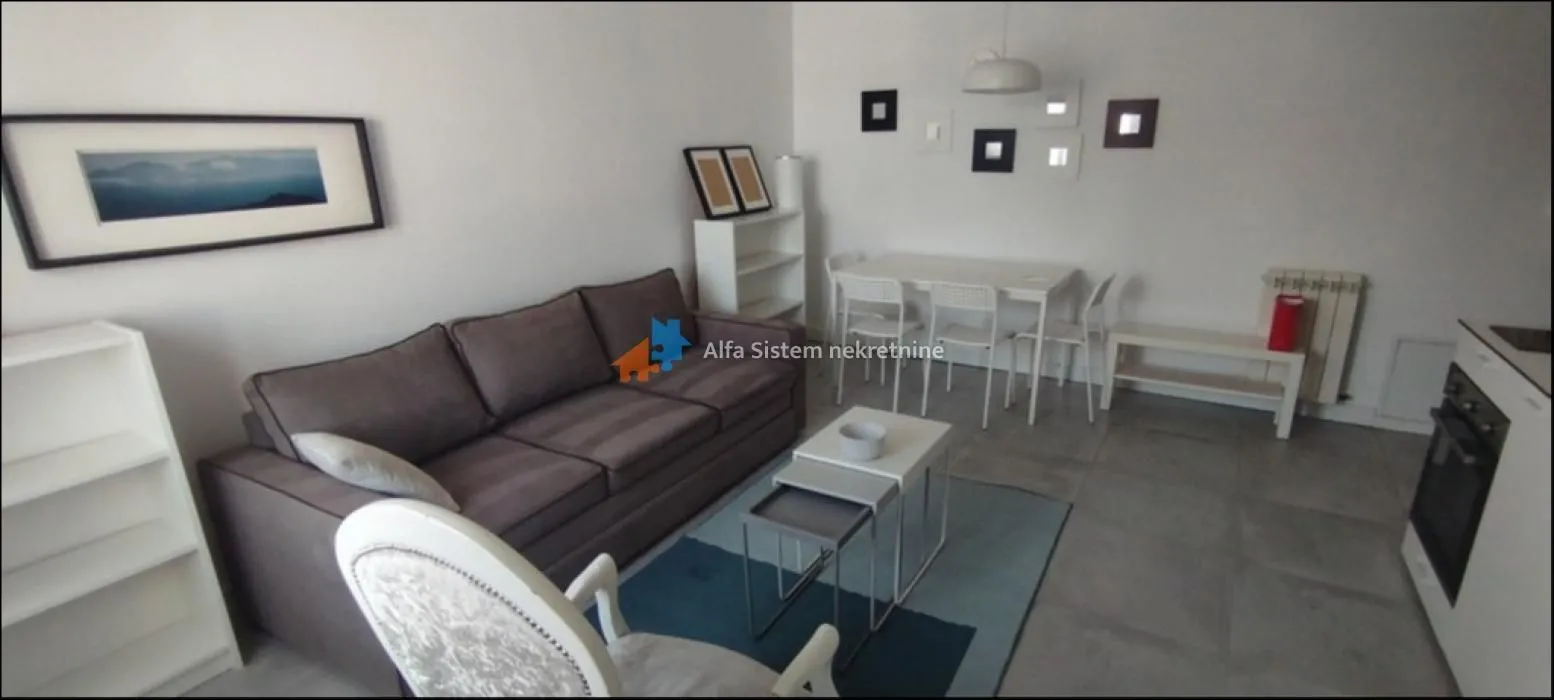 Izdavanje, dvosoban stan, 42m², Vračar Sve Podlokacije, Beograd