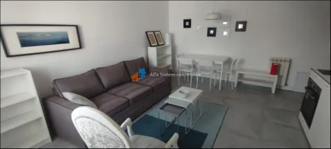 Izdavanje, dvosoban stan, 42m², Vračar Sve Podlokacije, Beograd - image 2