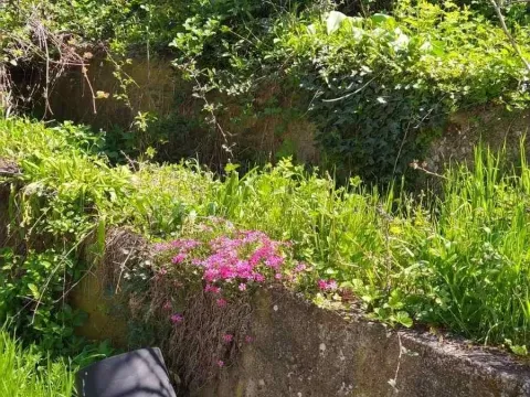 Sale, house, 85m², Donji Milanovac, Majdanpek - image 10