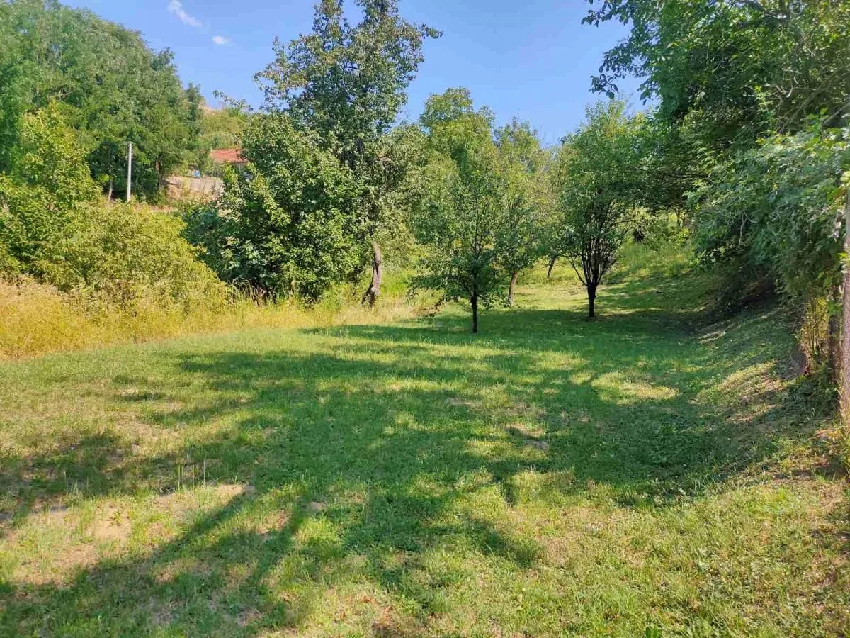 Prodaja, plac, 1500m², Sremska Kamenica, Petrovaradin