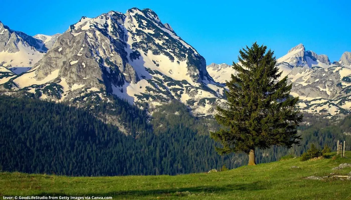 Prodaja, plac, 4527m², Podgora, Žabljak