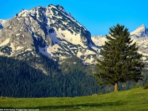 Prodaja, plac, 4527m², Podgora, Žabljak - image 2