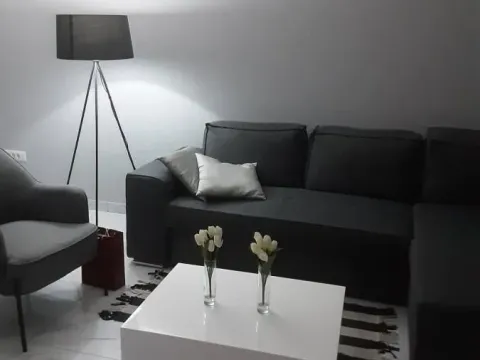 Rent, two bedroom apartment, 55m², Vojvode Vlahovica, Beograd - image 2