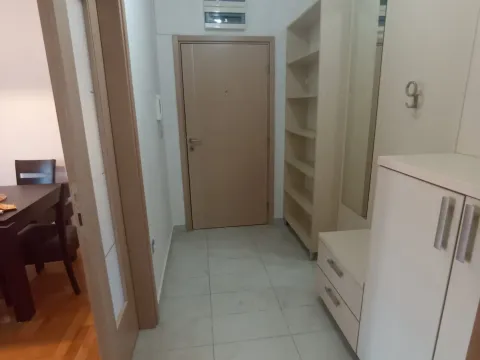 Izdavanje, jednosoban stan, 52m², Preko Morače, Podgorica - image 12