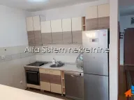 Izdavanje, četvorosoban stan, 1500m², Autokomanda, Voždovac Sve Podlokacije - image 5