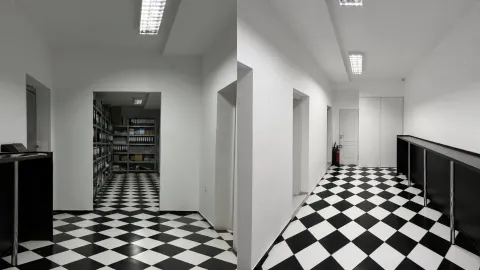 Rent, office space, 1842m², Zabjelo, Podgorica - image 11