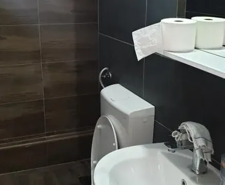 Izdavanje, jednosoban stan, 50m², Bulevar Oslobodjenja, Novi Sad Sve Podlokacije - image 12