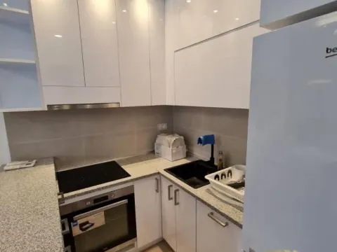 Izdavanje, jednosoban stan, 36m², Novi Beograd Blok 67, Novi Beograd Sve Podlokacije - image 5