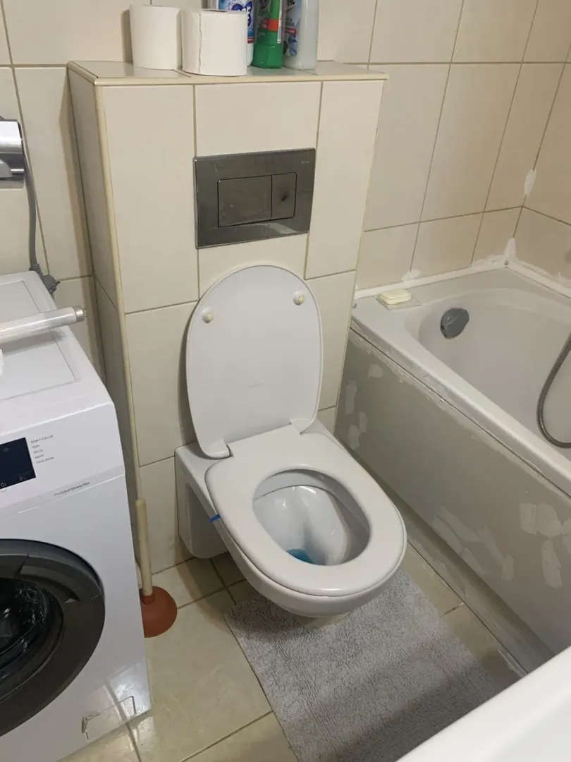 Kupatilo sa toaletom, kadom i veš mašinom.