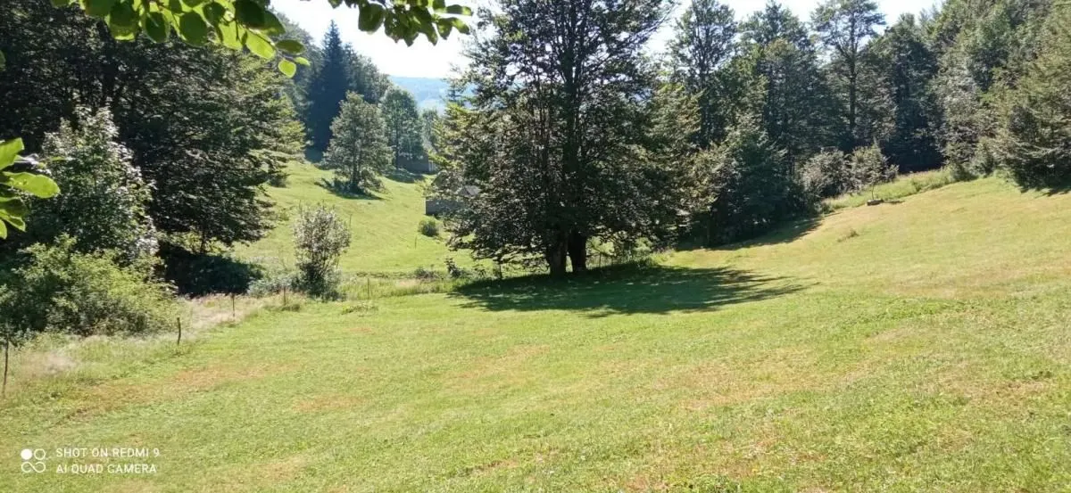 Prodaja, plac, 99100m², Donja Bukovica, Šavnik
